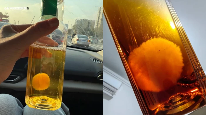 В социальных сетях распространился необычный тренд