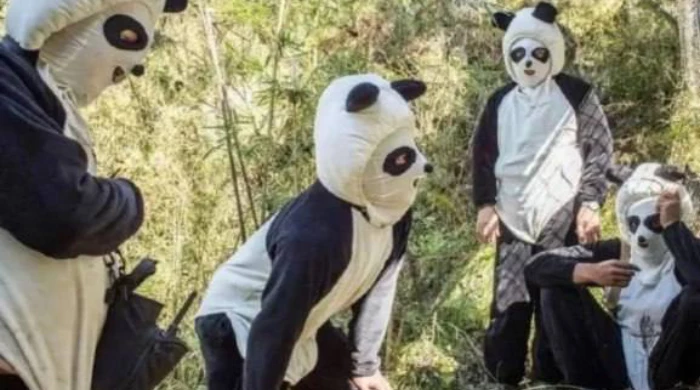 «Японский зоопарк попросил работников имитировать панд»